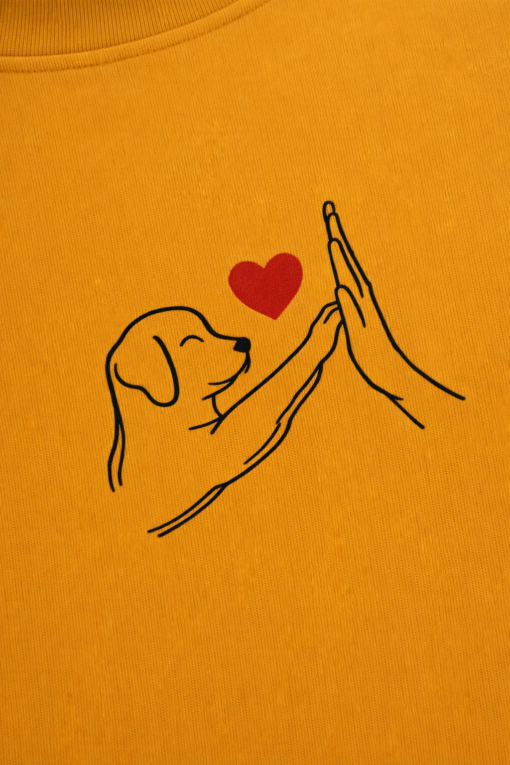 Paw and hand high-five with heart